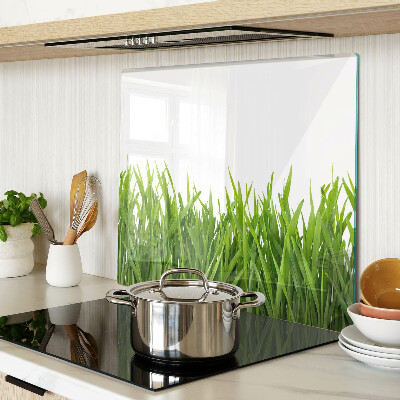 Tábua para corte grama verde