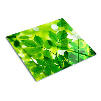 Tábua para cozinha Folhas em um fundo verde