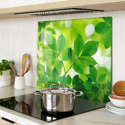 Tábua para cozinha Folhas em um fundo verde