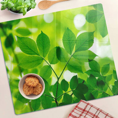 Tábua para cozinha Folhas em um fundo verde