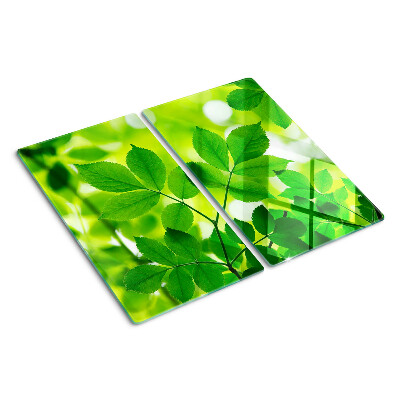 Tábua para cozinha Folhas em um fundo verde