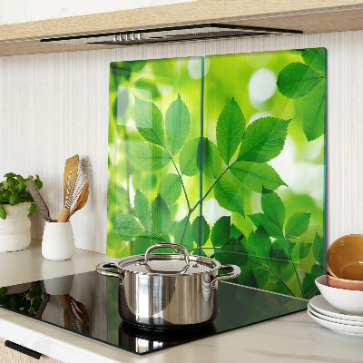 Tábua para cozinha Folhas em um fundo verde
