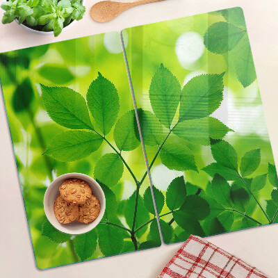 Tábua para cozinha Folhas em um fundo verde