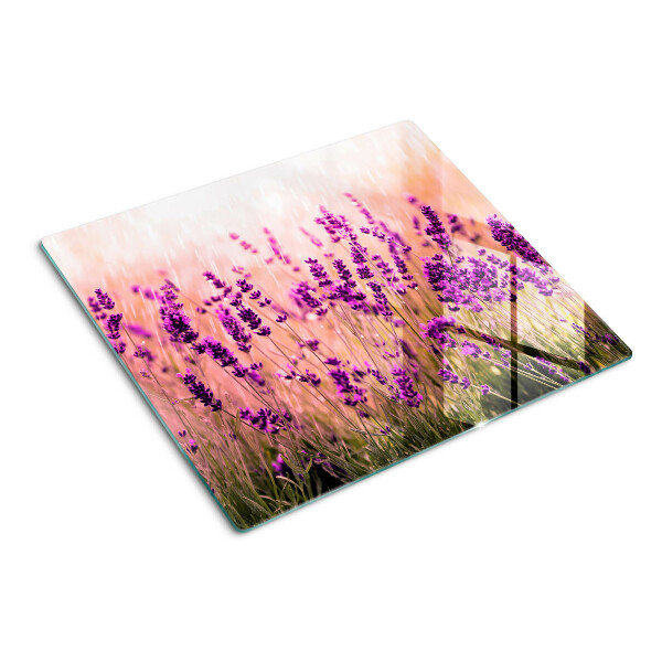 Tábua para corte Campo de lavanda ao sol