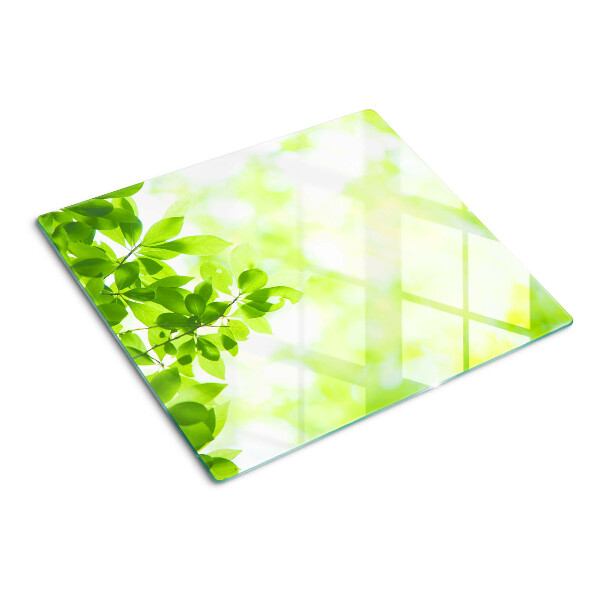 Tábua para corte Folhas verdes na luz