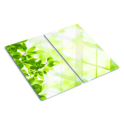 Tábua para corte Folhas verdes na luz