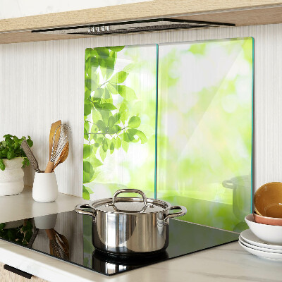 Tábua para corte Folhas verdes na luz