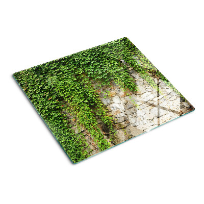 Tábua para cozinha Parede verde com musgo