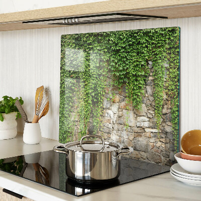 Tábua para cozinha Parede verde com musgo