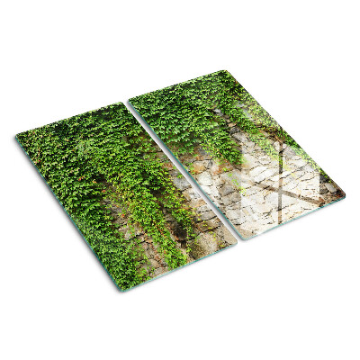 Tábua para cozinha Parede verde com musgo