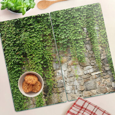 Tábua para cozinha Parede verde com musgo