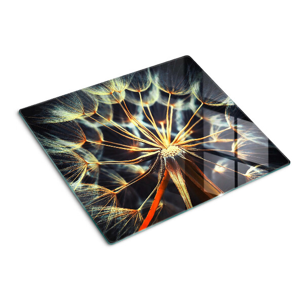 Tábua para corte Dente-de-leão em macrofotografia