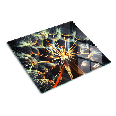 Tábua para corte Dente-de-leão em macrofotografia