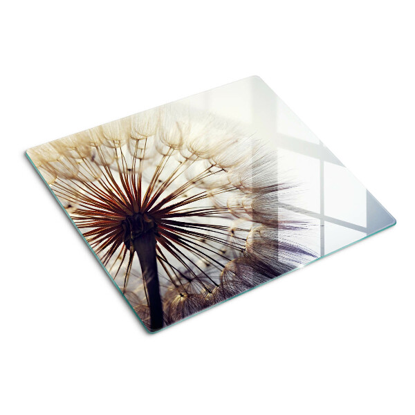 Tábua para corte Dentes-de-leão na luz