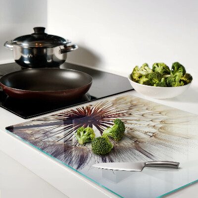 Tábua para corte Dentes-de-leão na luz