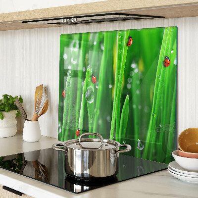 Tábua para corte Gotas de água na grama com joaninhas