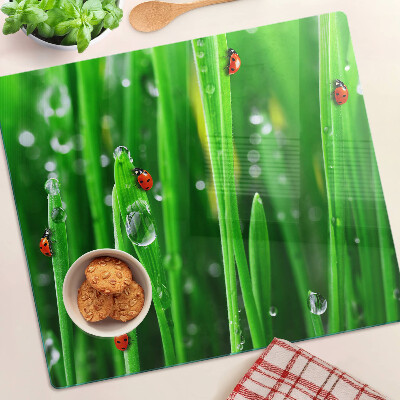 Tábua para corte Gotas de água na grama com joaninhas