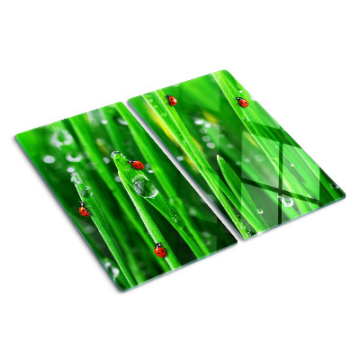 Tábua para corte Gotas de água na grama com joaninhas