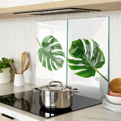 Tábua para cozinha Folhas de Monstera