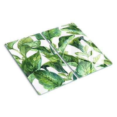 Tábua para corte Folhas de plantas tropicais