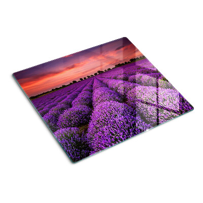 Tábua para cozinha Campo de lavanda ao pôr do sol