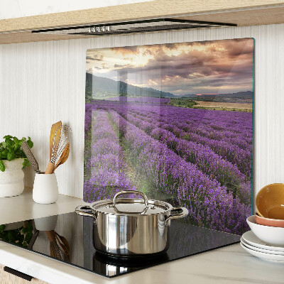 Tábua para corte Campo de lavanda ao pôr do sol