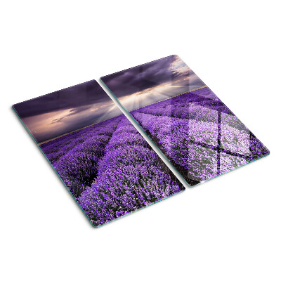 Tábua para corte Campo de lavanda com pôr do sol