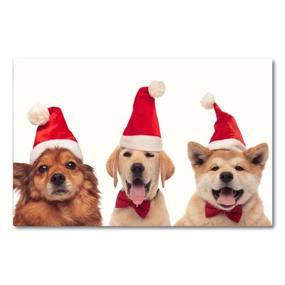 Tábua de corte Cães Papai Noel Natal