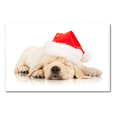 Tábua de corte Chapéu de Papai Noel para filhotes de inverno