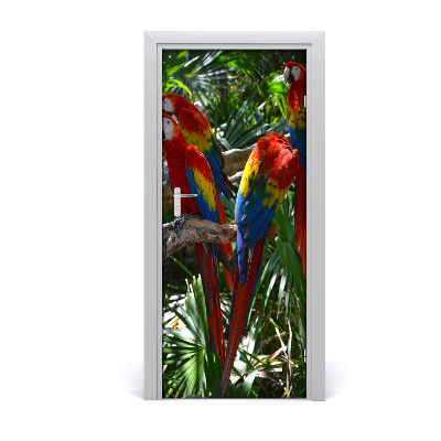 Adesivo em porta Papagaios araras