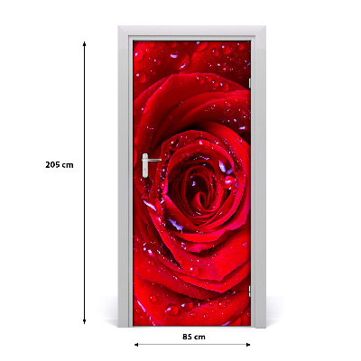 Autocolante para porta Rosa vermelha
