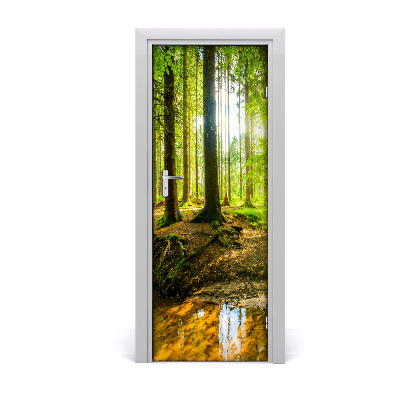 Papel de parede em porta O sol na floresta