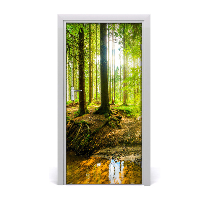 Papel de parede em porta O sol na floresta