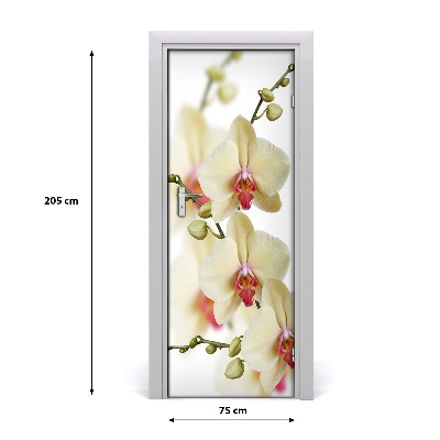 Papel de parede em porta Orquídea