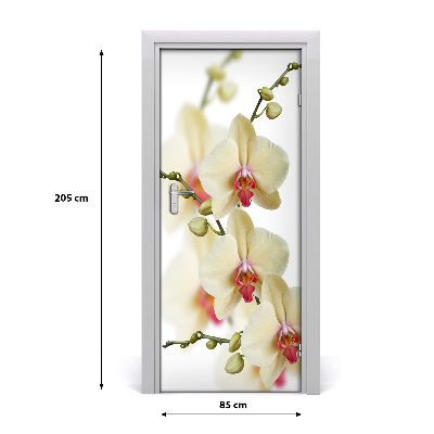 Papel de parede em porta Orquídea