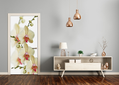 Papel de parede em porta Orquídea