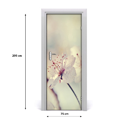 Papel de parede em porta flores de cerejeira
