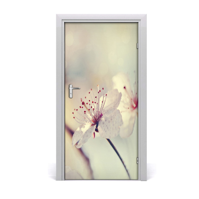 Papel de parede em porta flores de cerejeira