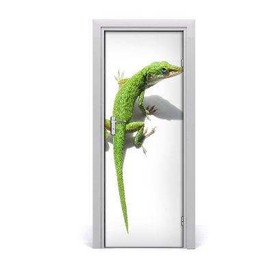 Papel de parede em porta Lagarto verde
