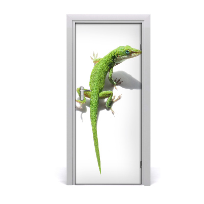 Papel de parede em porta Lagarto verde