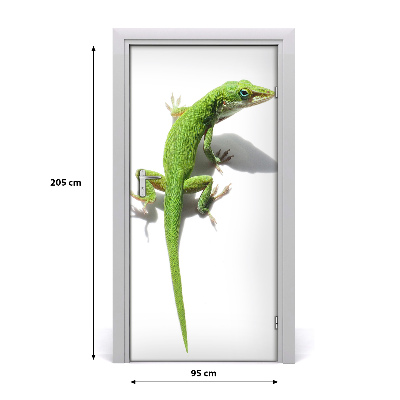 Papel de parede em porta Lagarto verde