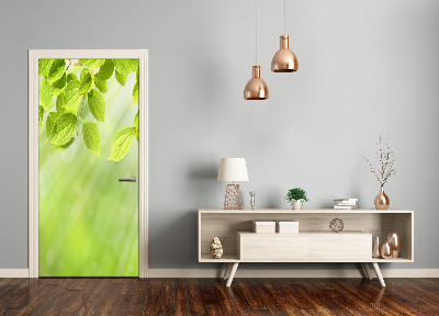Adesivo em porta Folhas verdes