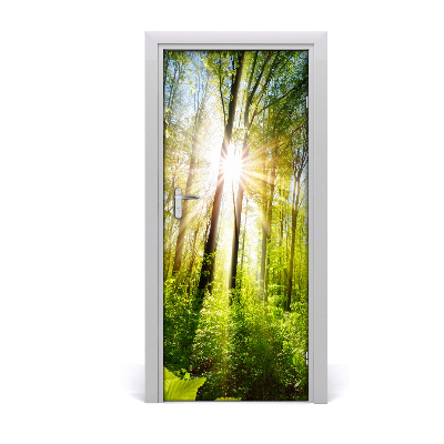 Papel de parede em porta O sol na floresta