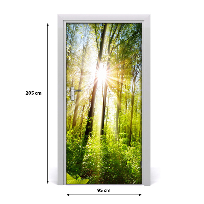 Papel de parede em porta O sol na floresta