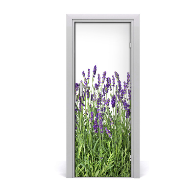 Adesivo em porta Campo de lavanda
