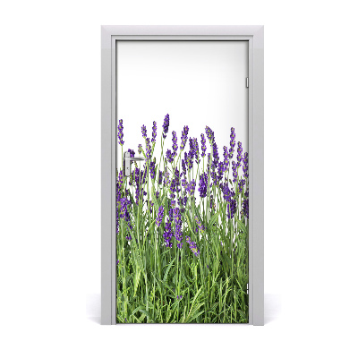 Adesivo em porta Campo de lavanda