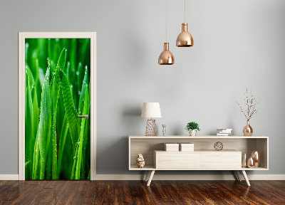 Papel de parede em porta Folhas de grama