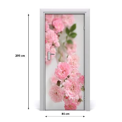 Adesivo em porta Sarça