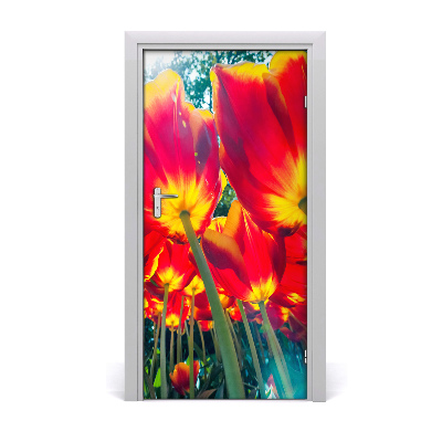 Adesivo em porta tulipas