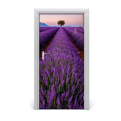Autocolante para porta Campo de lavanda